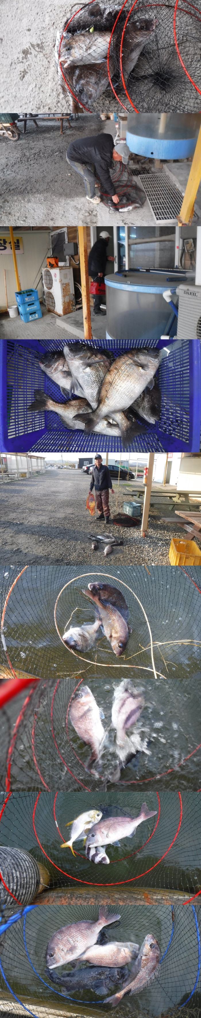 229f55592cbdefa752f9fc0435673075_1762329