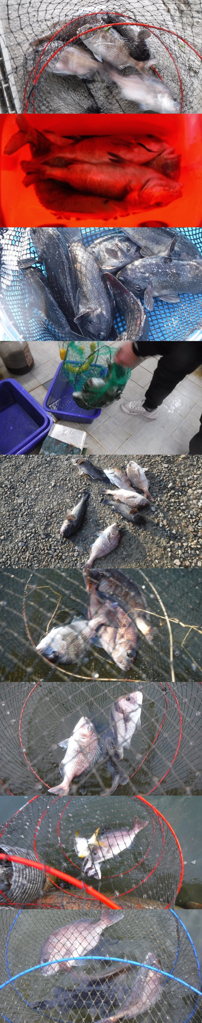 229f55592cbdefa752f9fc0435673075_1762329