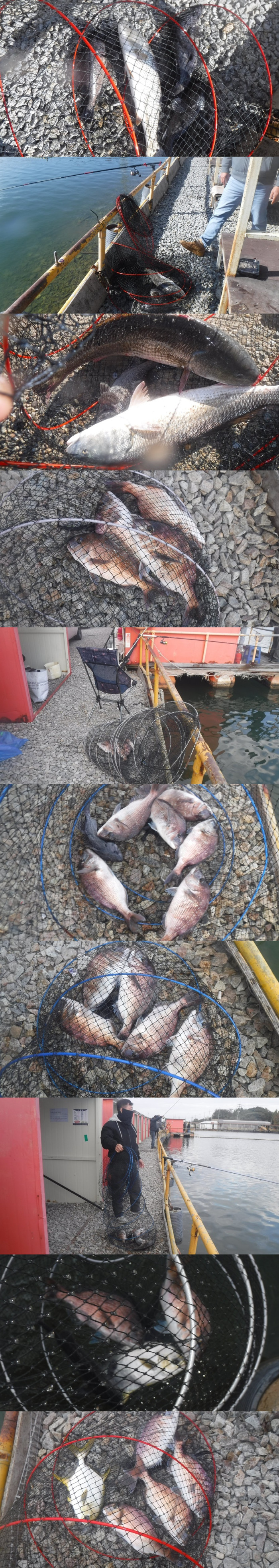 36738e0f539832fe134fe8327ce0f3e0_1761984