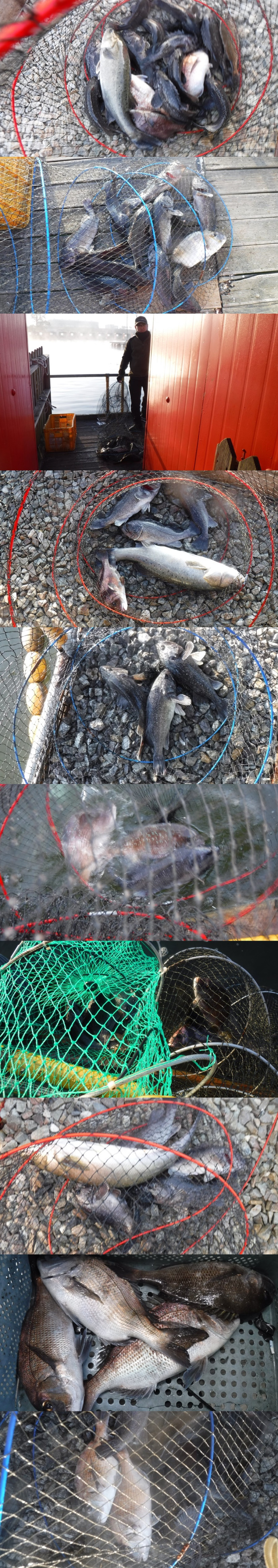 3b1fd6298cebc5c49b14b4fd37ab3594_1763023