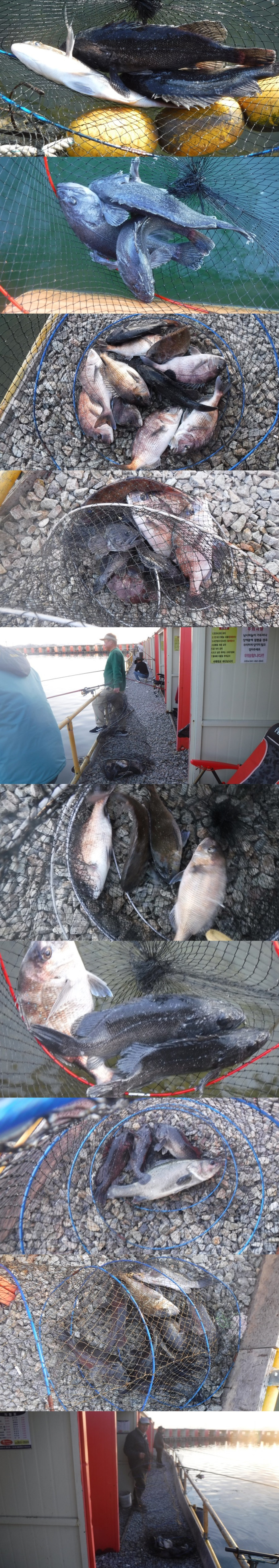 3b1fd6298cebc5c49b14b4fd37ab3594_1763196