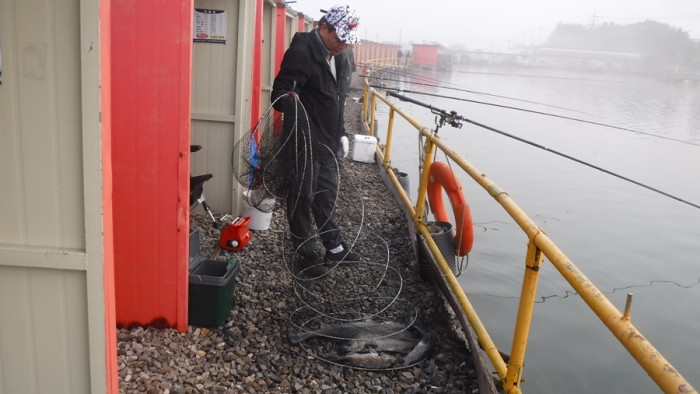 48daa086f8024ee811eede3fd2679ba6_1762502