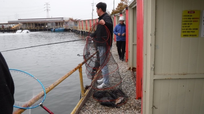 48daa086f8024ee811eede3fd2679ba6_1762593