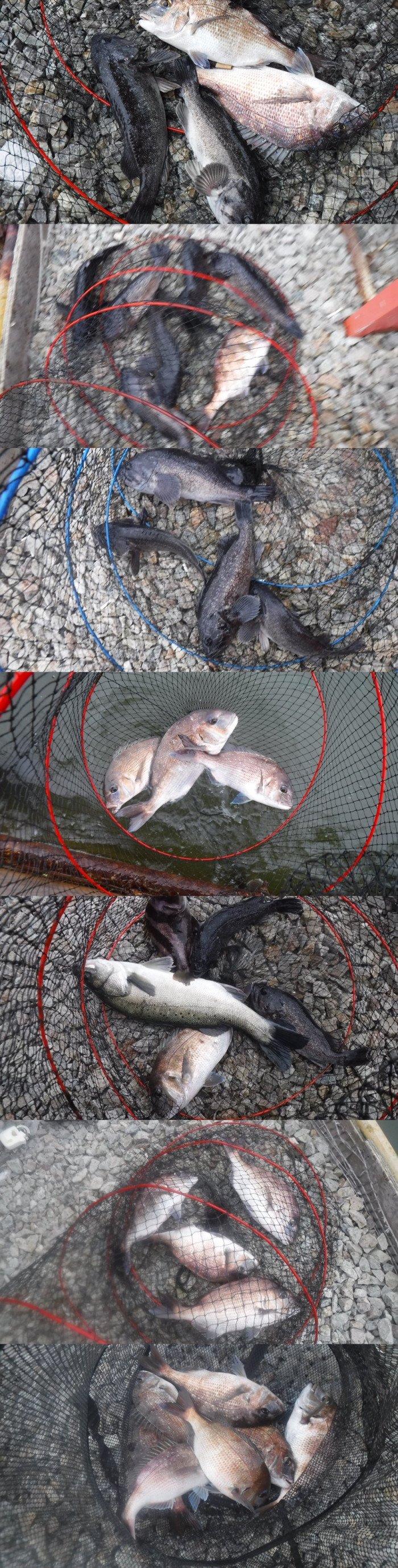 48daa086f8024ee811eede3fd2679ba6_1762593