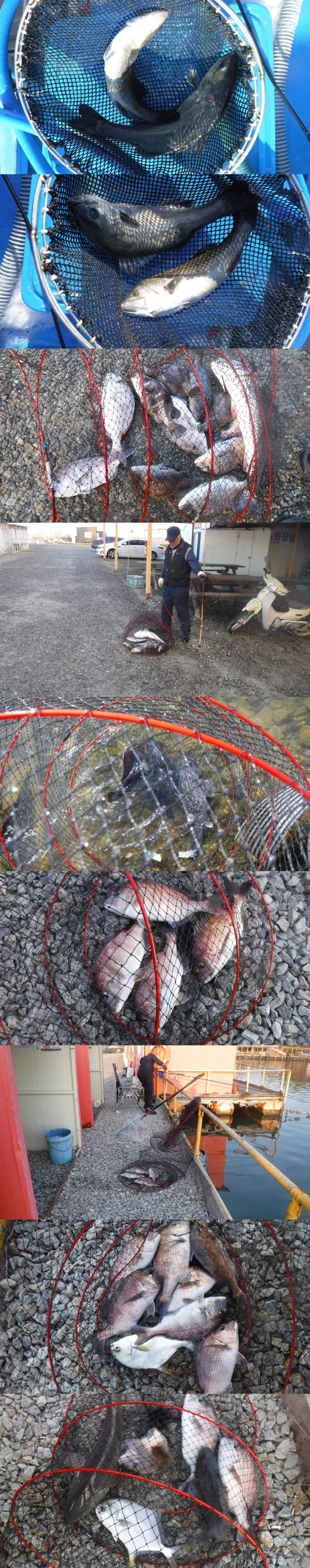 4f3d815c4ef5eee7467cad1cb0ca8065_1762247