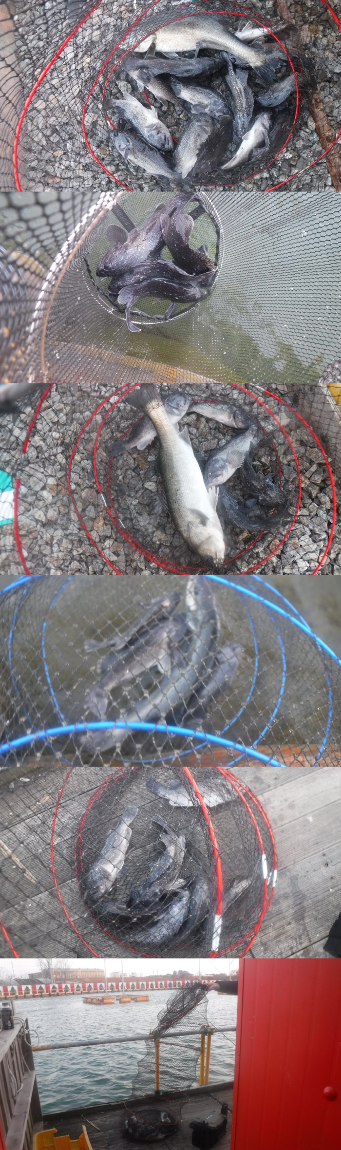 6ceaaa5292479df2b8aaf6250853d98b_1764404