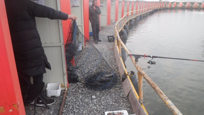 77e96c2b94a3e3fc1439b9e711f287dc_1762676