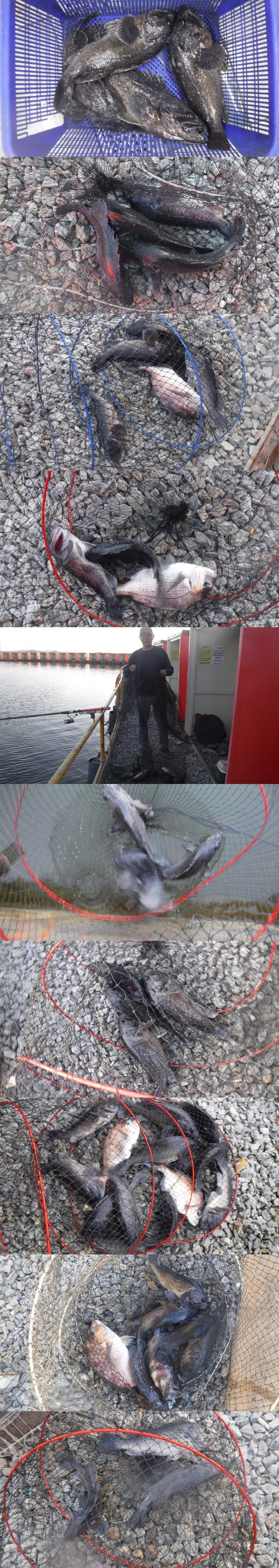 8f4295af531851b4a5226c12ce009708_1763370