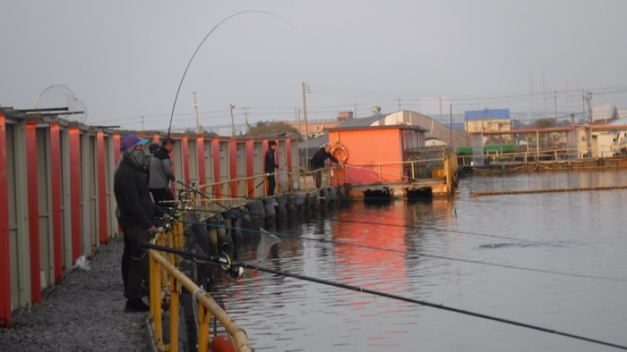 9ebe64f2b1fdee8df0a6789843e360fe_1762415