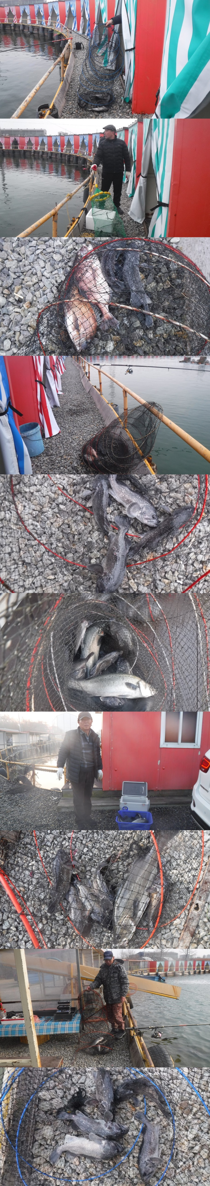 69e867b180e25f773a568093396e01e3_1765094