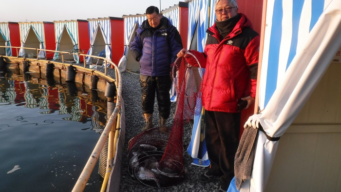 96659bb684ff2c673e7198866474c553_1765612