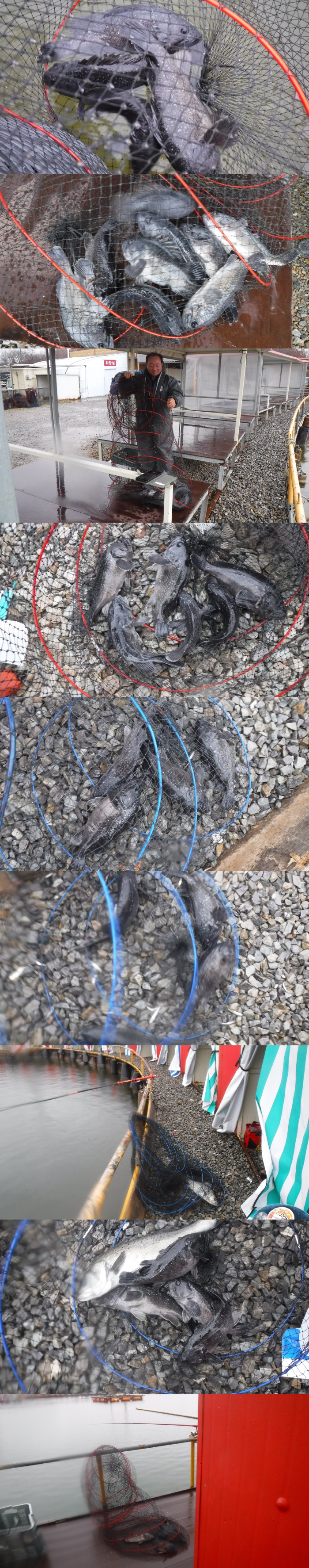 96659bb684ff2c673e7198866474c553_1765612