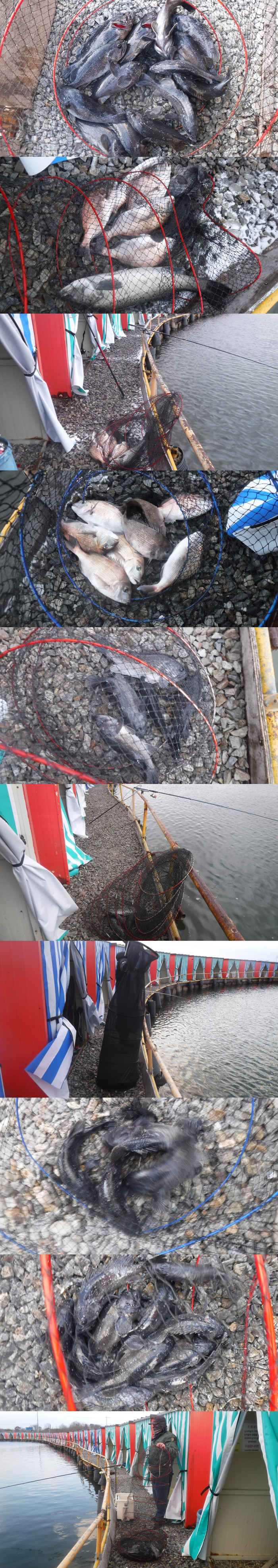 de1cb5525d5801c0a19ae861c79268cd_1765699