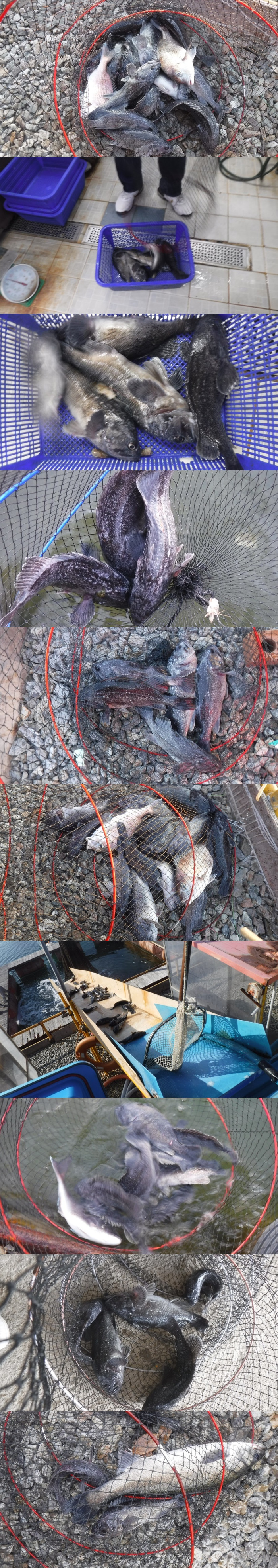 f70ea92a8431366dba514ca3457c02a9_1765368