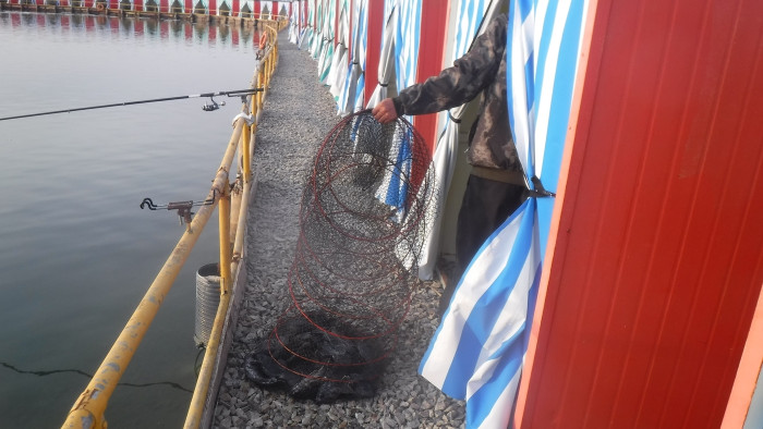 cd879781b5eca8325cf137e18000cc2e_1767339