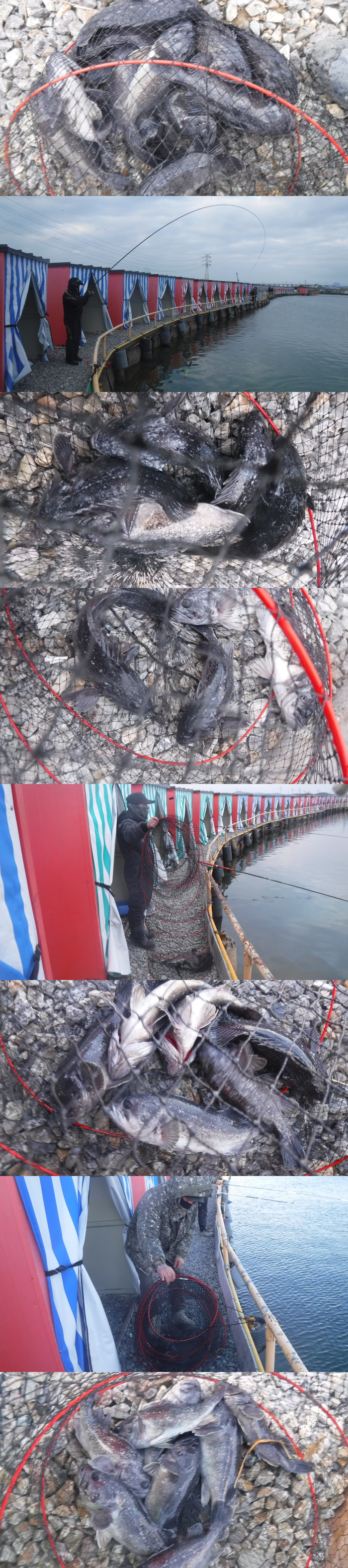 e5241adb31d56b93a451d0216d58b25d_1768031