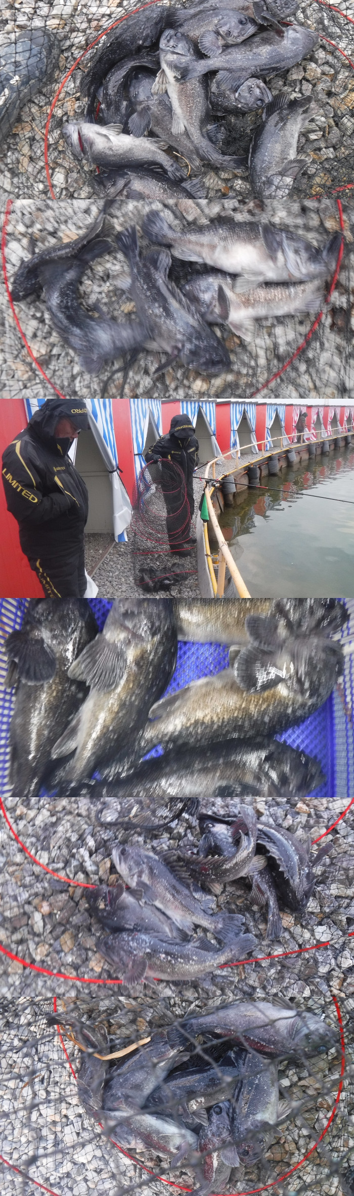 e5241adb31d56b93a451d0216d58b25d_1768031