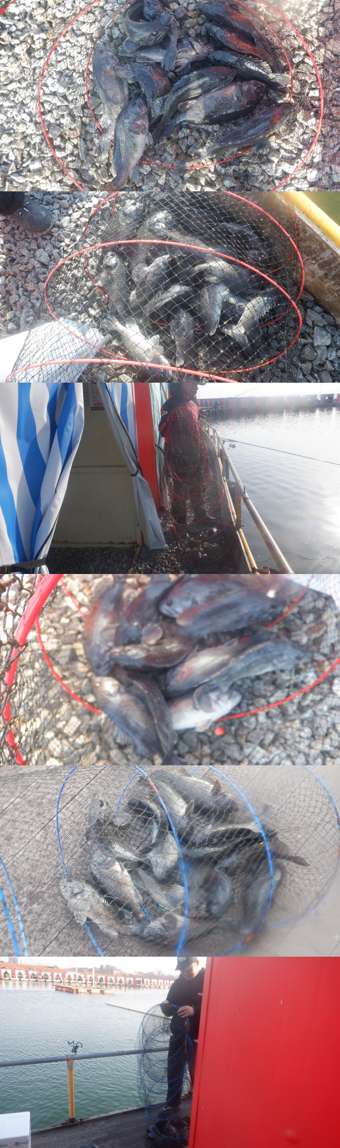 199f7329560f18721070b418623fa97f_1772275