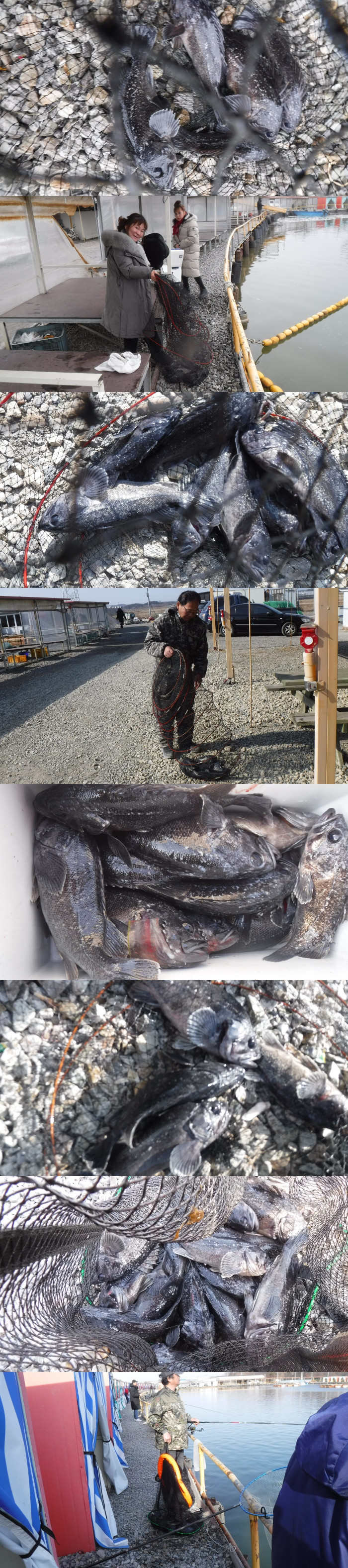 3857ef4fb1124a065d3427cb64441dd3_1771141