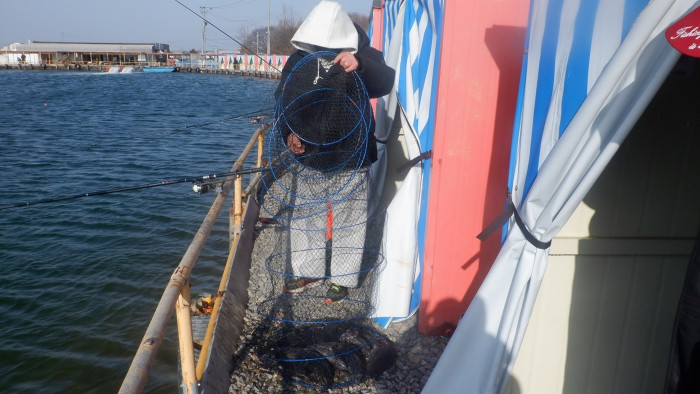 62a49260dfa8863009e3ecb18bbd5c48_1771661