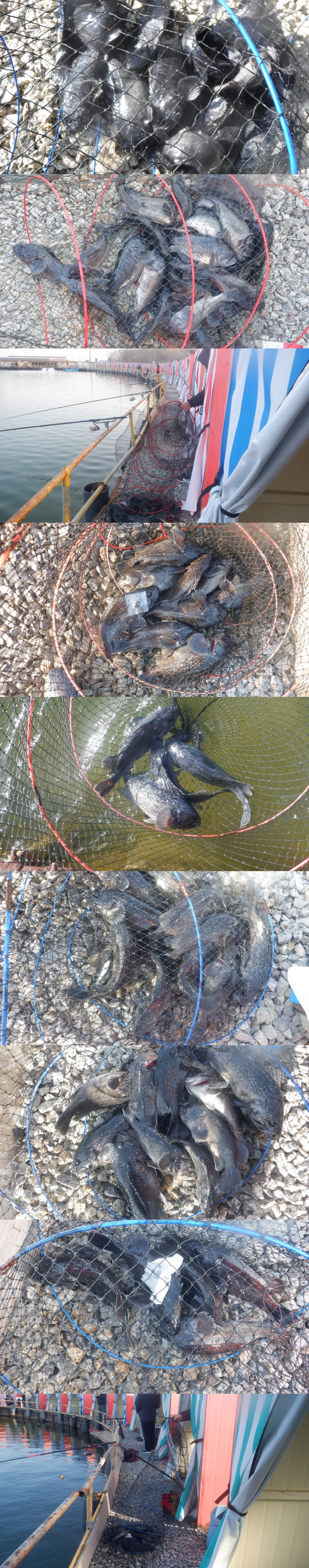 62a49260dfa8863009e3ecb18bbd5c48_1771661