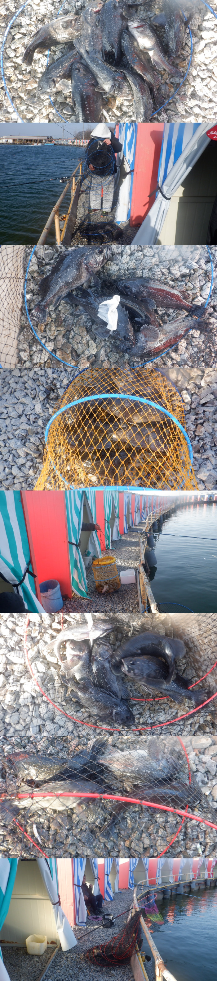 62a49260dfa8863009e3ecb18bbd5c48_1771661