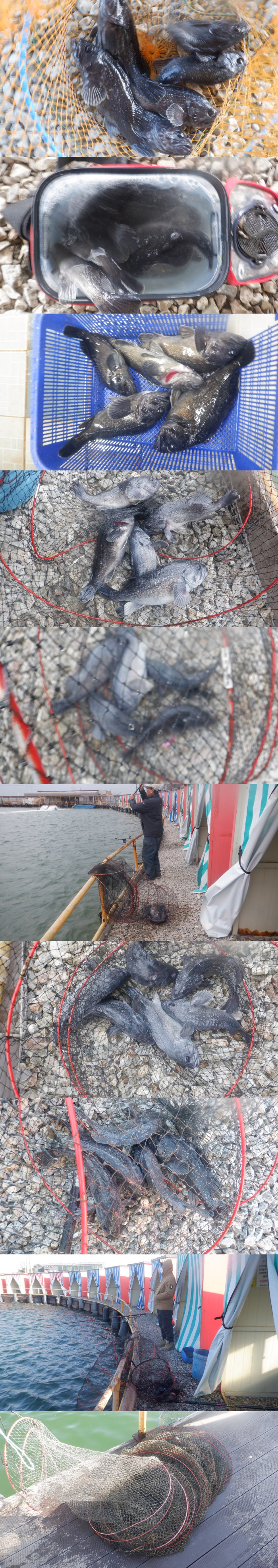 62a49260dfa8863009e3ecb18bbd5c48_1771752