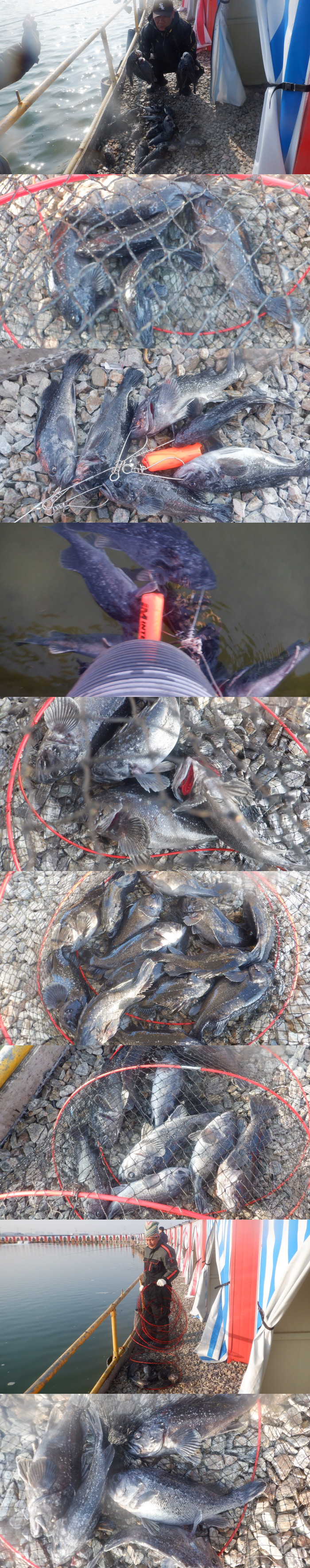 b945cc1a746f64e7c54c9550f482a7b9_1771574