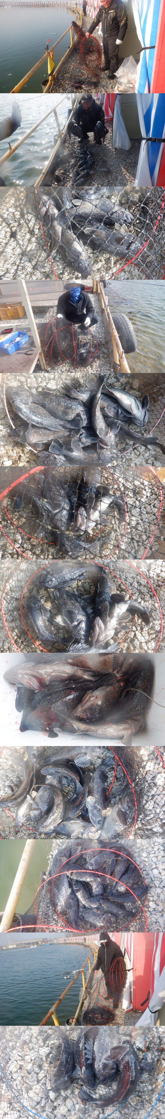 b945cc1a746f64e7c54c9550f482a7b9_1771574