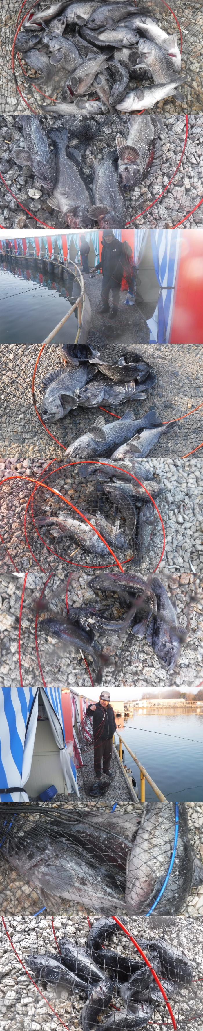 d80dad086659e51e2d6436e1c061a05f_1771055