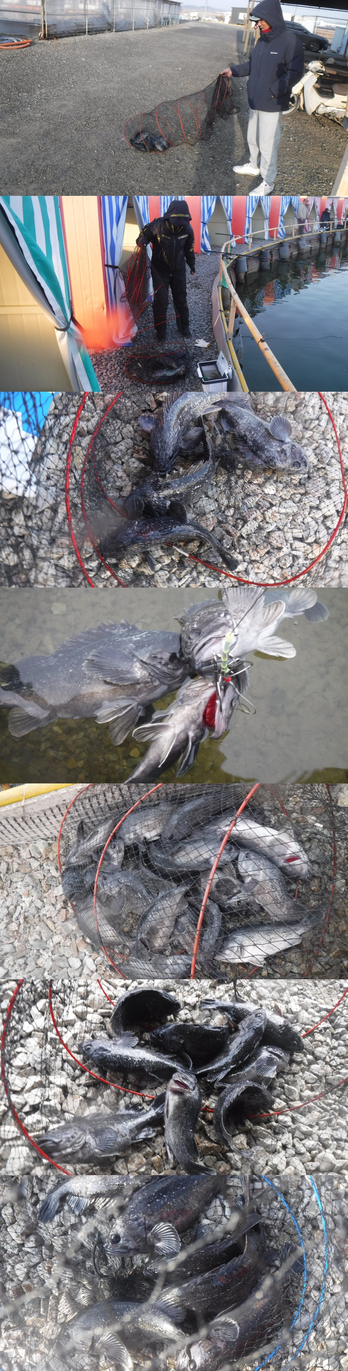 d80dad086659e51e2d6436e1c061a05f_1771055