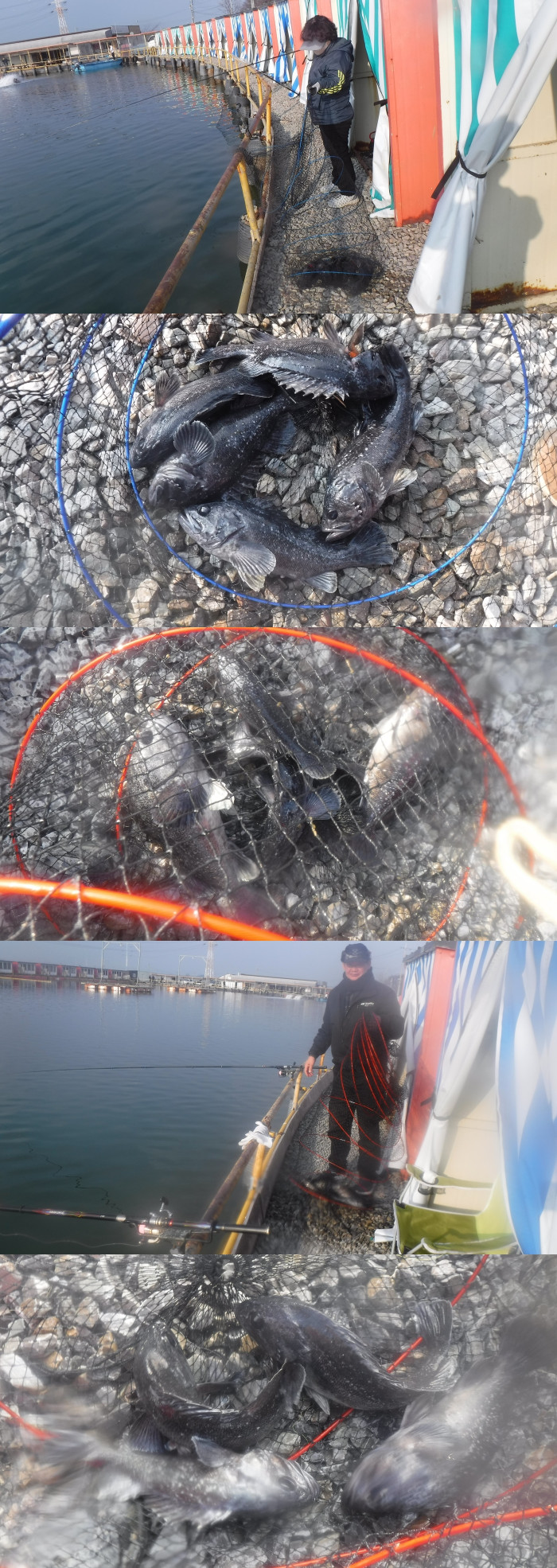 d80dad086659e51e2d6436e1c061a05f_1771055