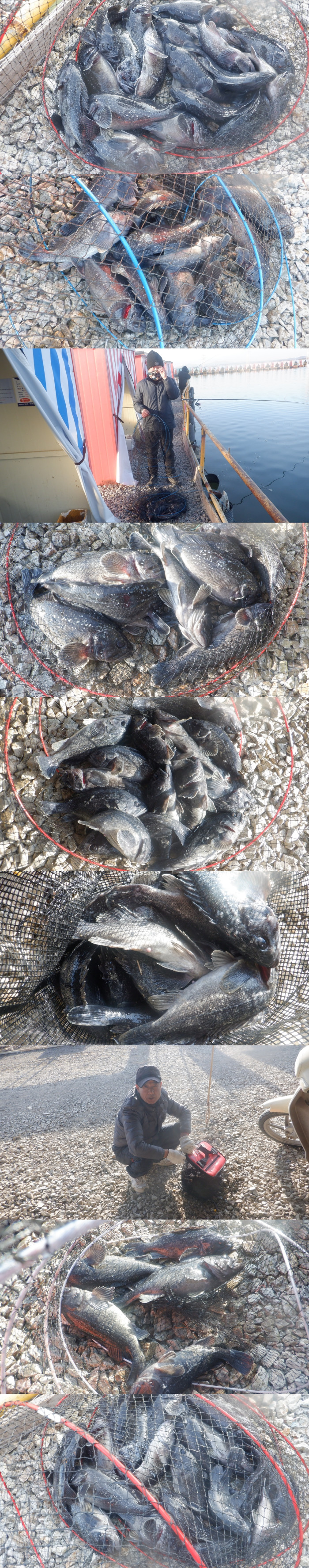 f18bb4dca107f78215ff50678a3c5eef_1771228