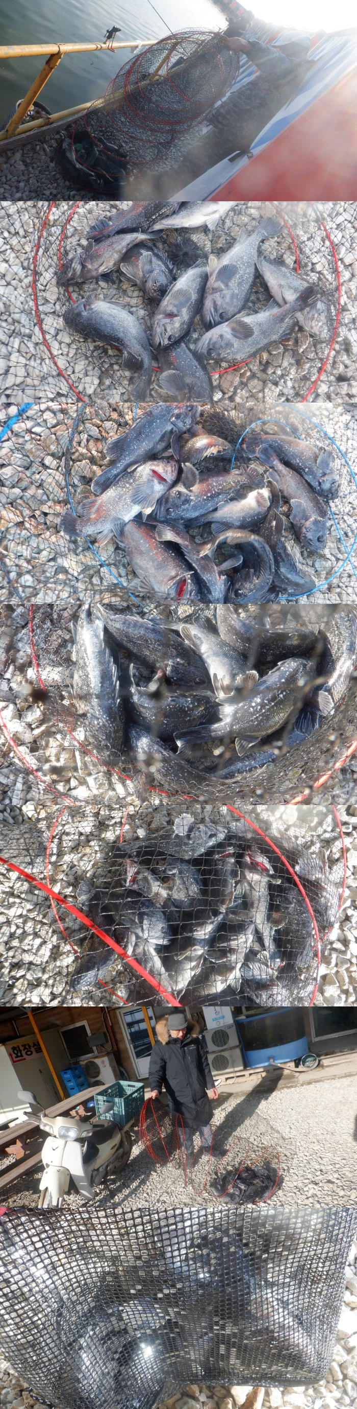 f18bb4dca107f78215ff50678a3c5eef_1771228