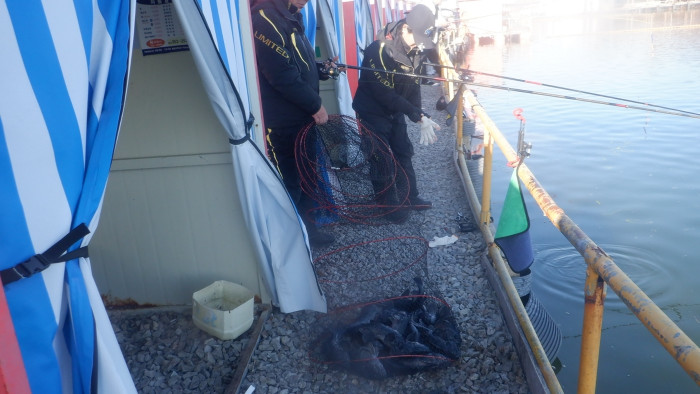 f18bb4dca107f78215ff50678a3c5eef_1771315