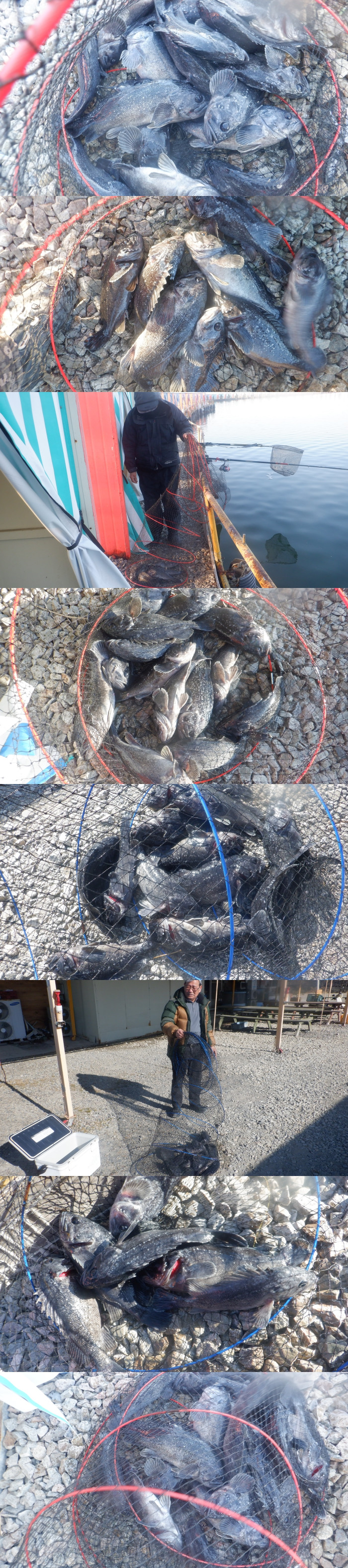 f18bb4dca107f78215ff50678a3c5eef_1771315