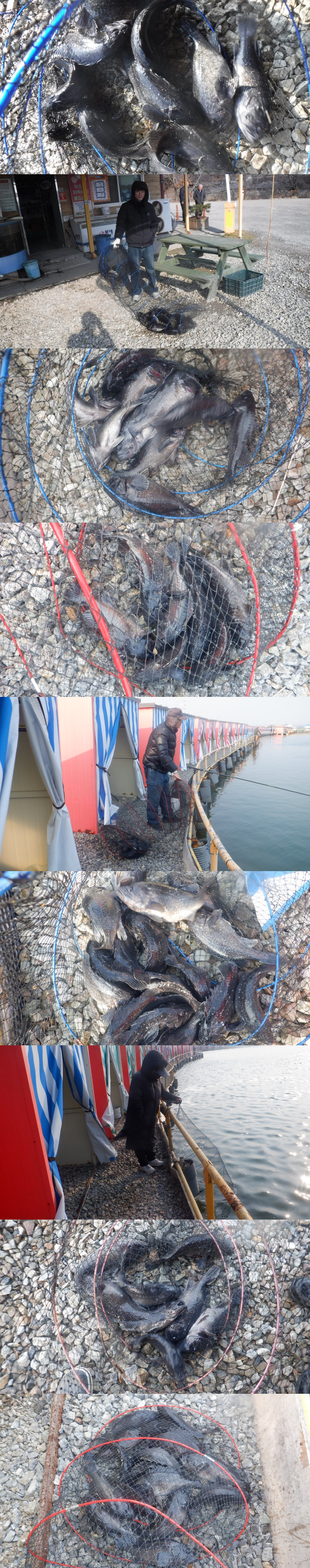 3701e4c774baf04c10a4f7e5bbd15de0_1773127