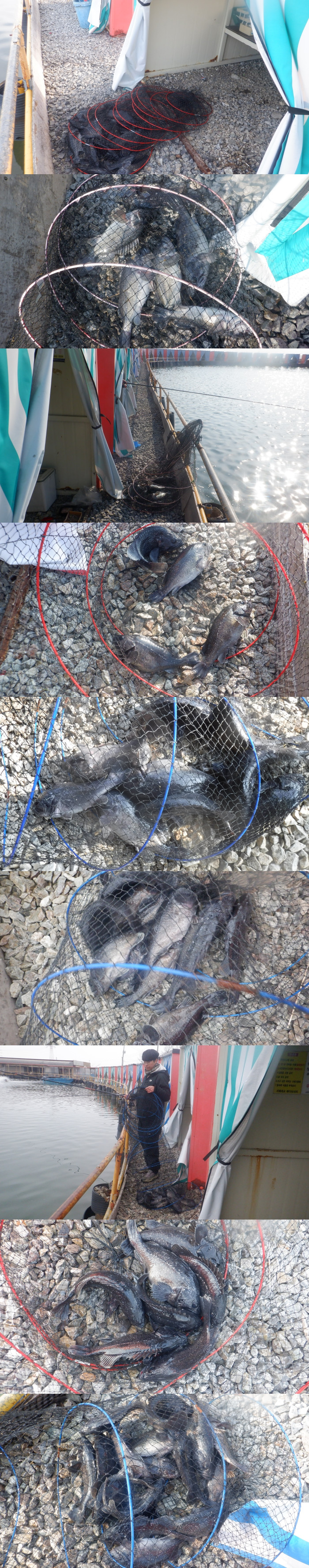 3701e4c774baf04c10a4f7e5bbd15de0_1773127