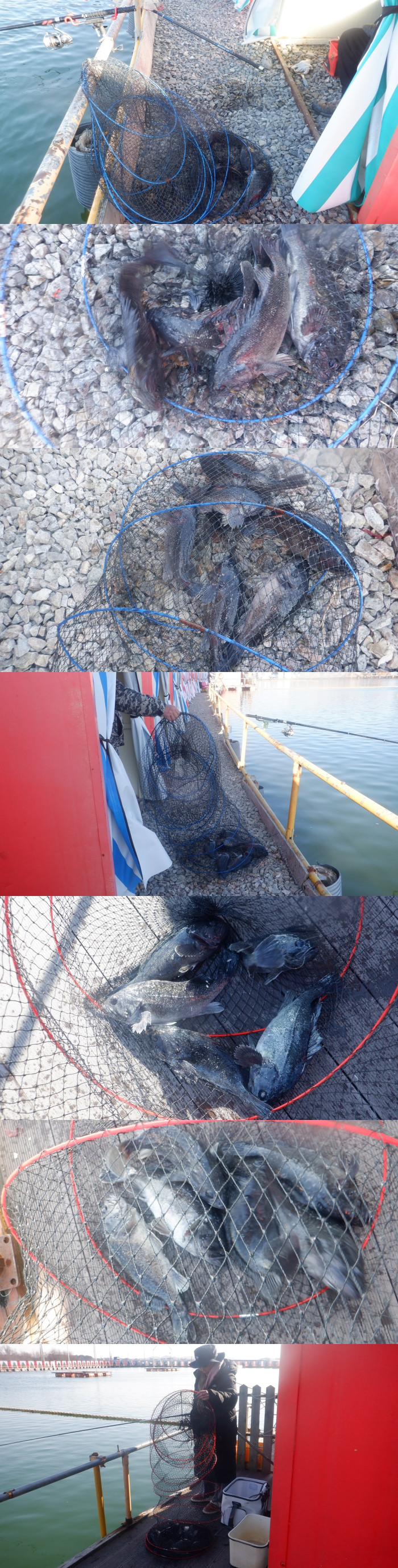 5b664bb62547616174c332515cfb9124_1772875