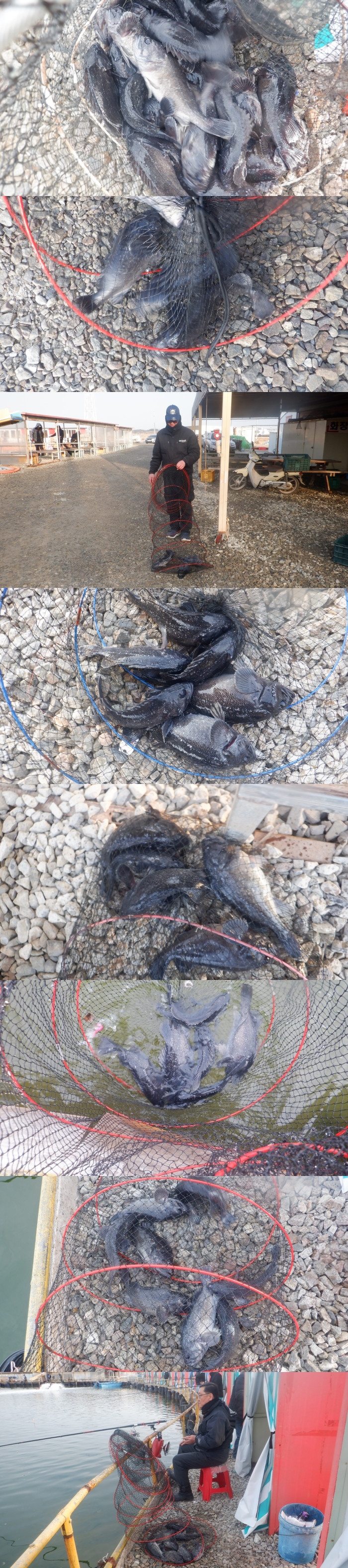 75dae37e0c730a145bdd1d587986c2c6_1772358