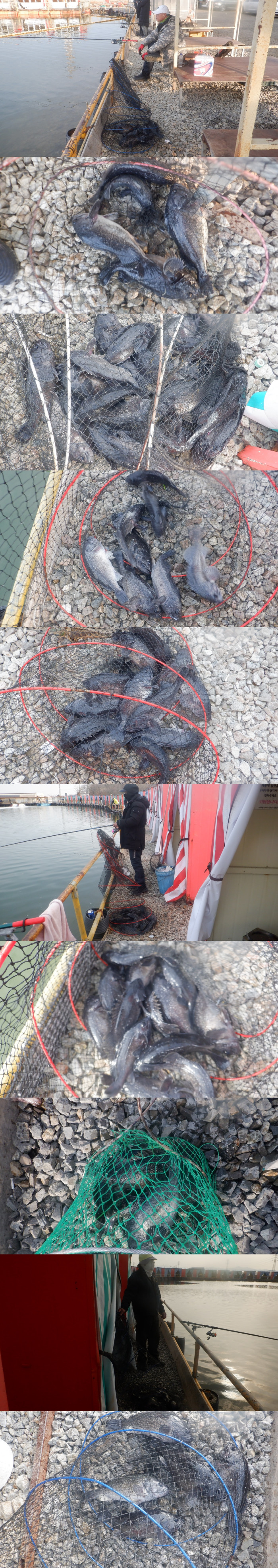 75dae37e0c730a145bdd1d587986c2c6_1772358