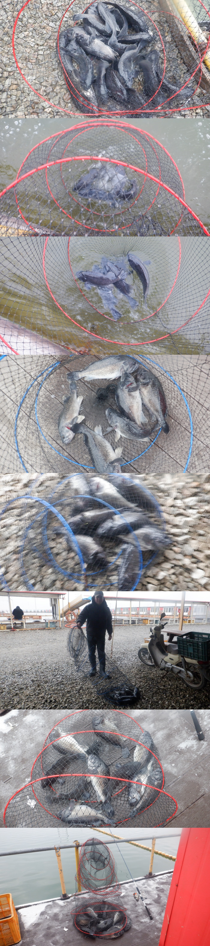 b9ccdc824202292690ebc692bc466cc4_1772781