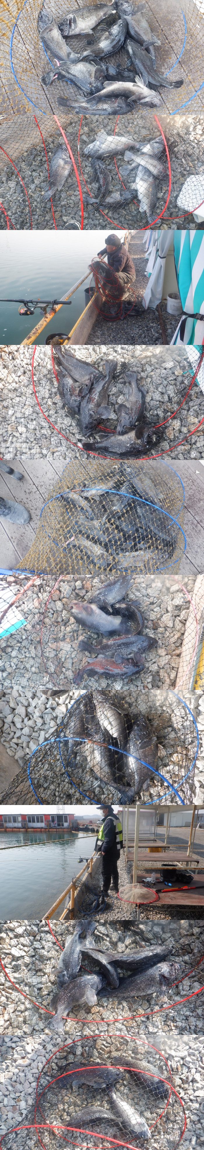 c133c4f97b8b068f4fd39ce768ef4168_1773738