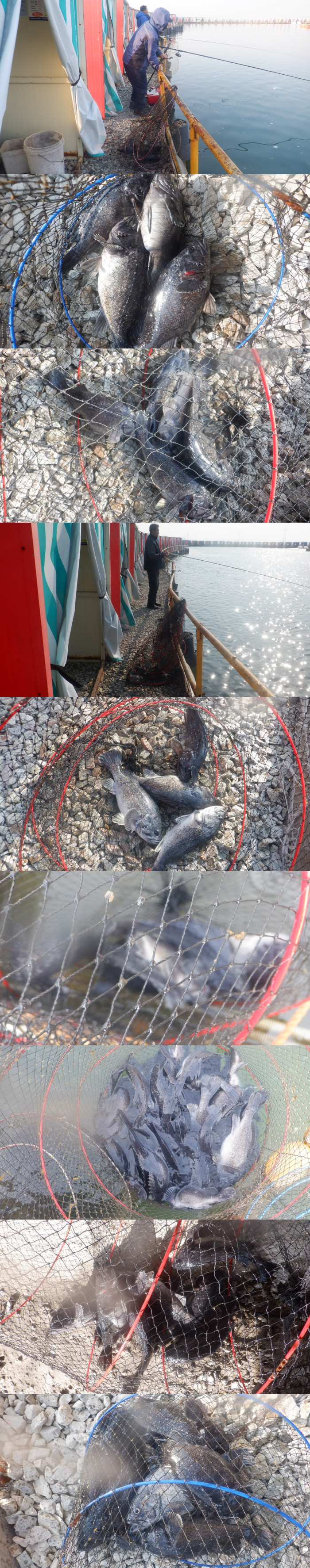 c133c4f97b8b068f4fd39ce768ef4168_1773738