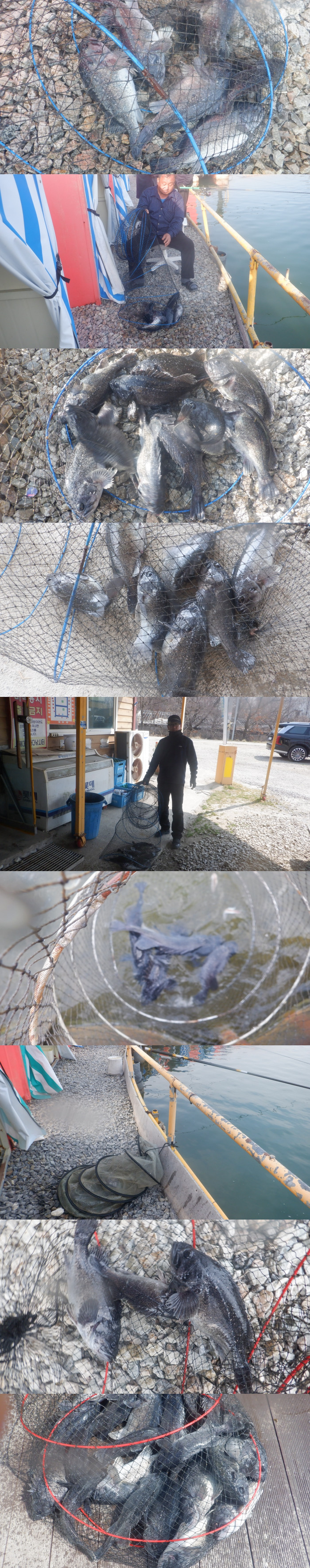 cd16e95a1df8e6e4189501252322f1f5_1774425