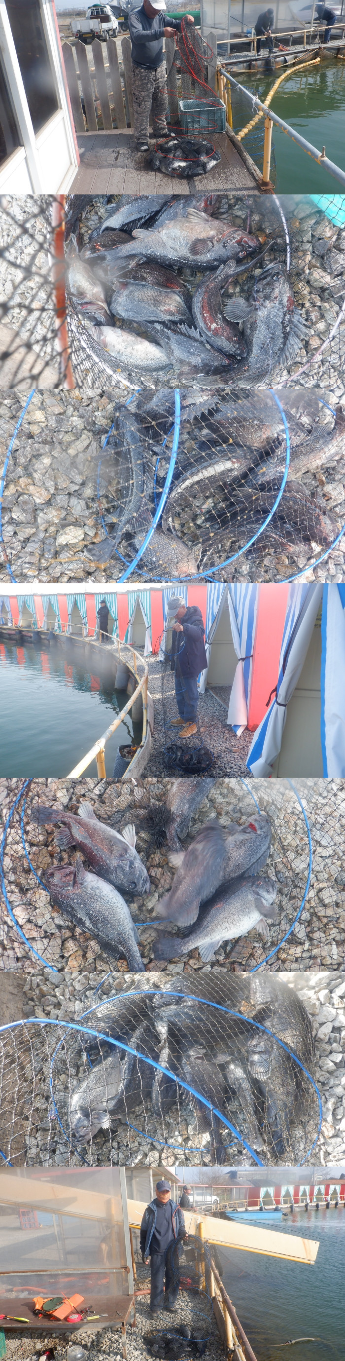 cd16e95a1df8e6e4189501252322f1f5_1774425