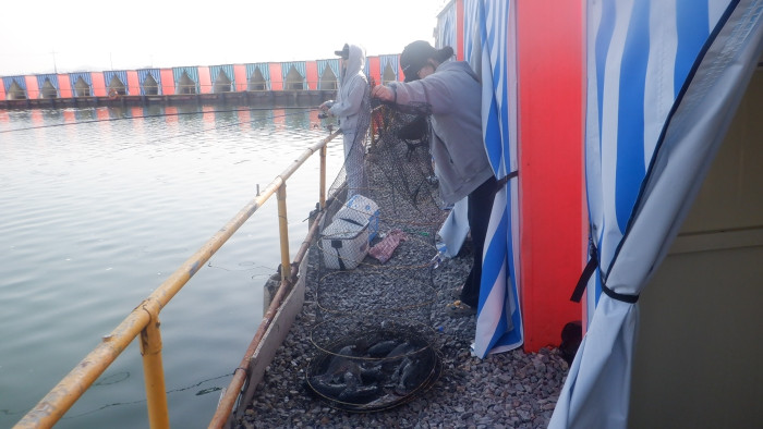 cd16e95a1df8e6e4189501252322f1f5_1774511