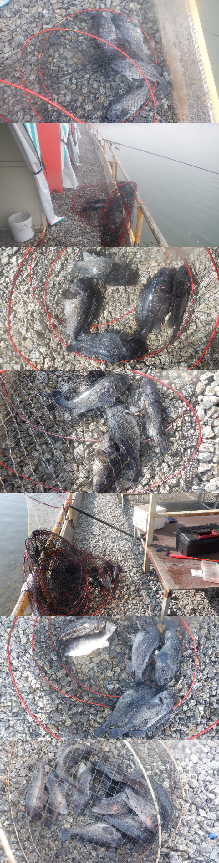 cd16e95a1df8e6e4189501252322f1f5_1774511