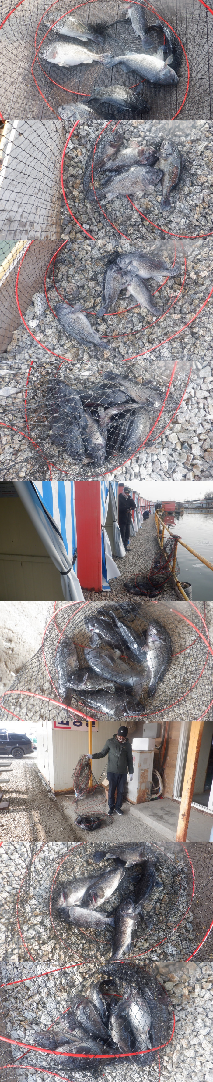 d7f91c500374c6a5aecf47f441cb3fec_1773475