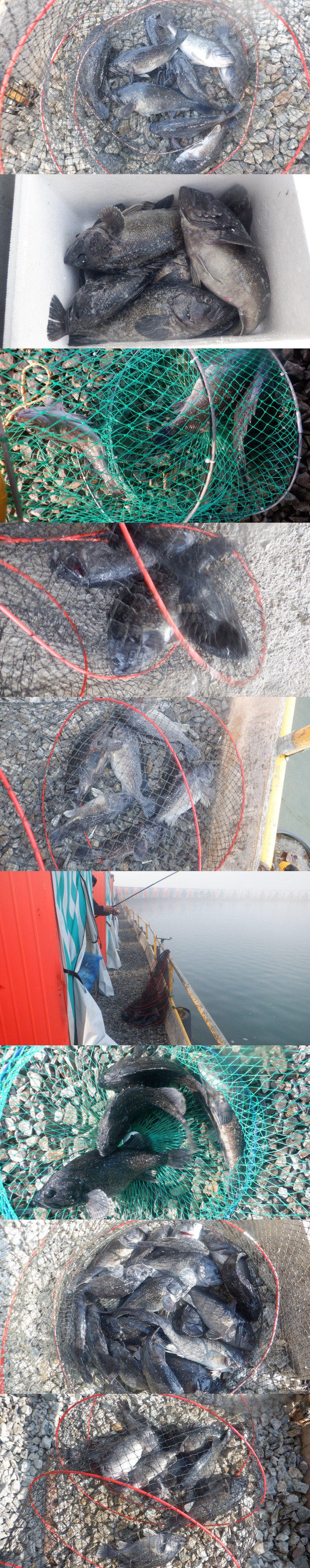 e8d93995d3b20281c09c3b075b698ab6_1774079